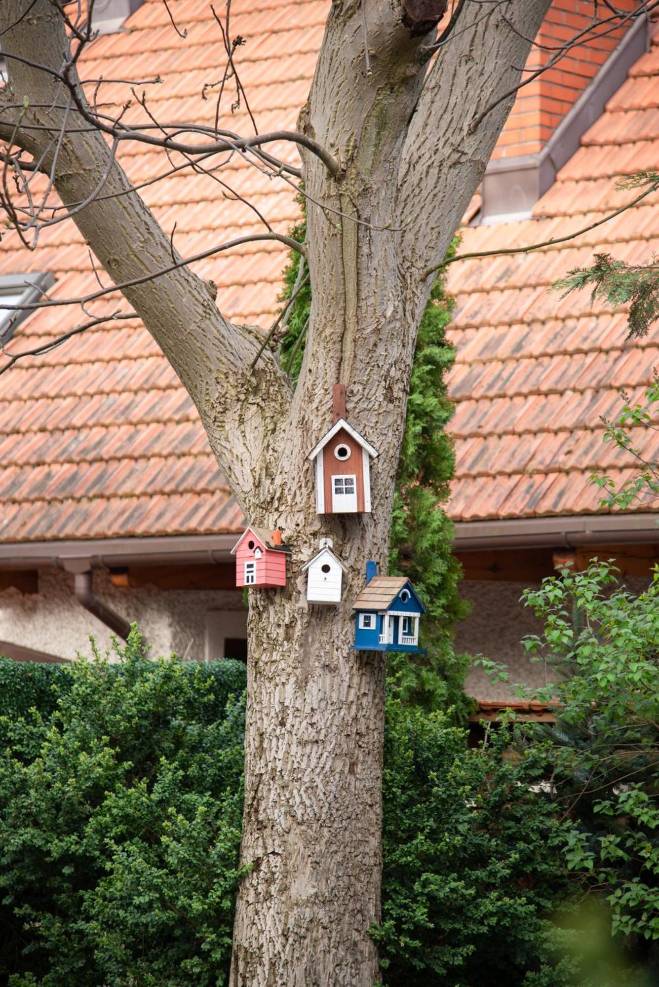 Villa Julius Sopot Eksteriør billede